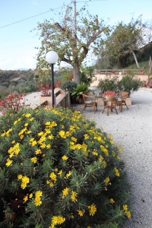 Bed and Breakfast Il Pioppo Veroli Экстерьер фото